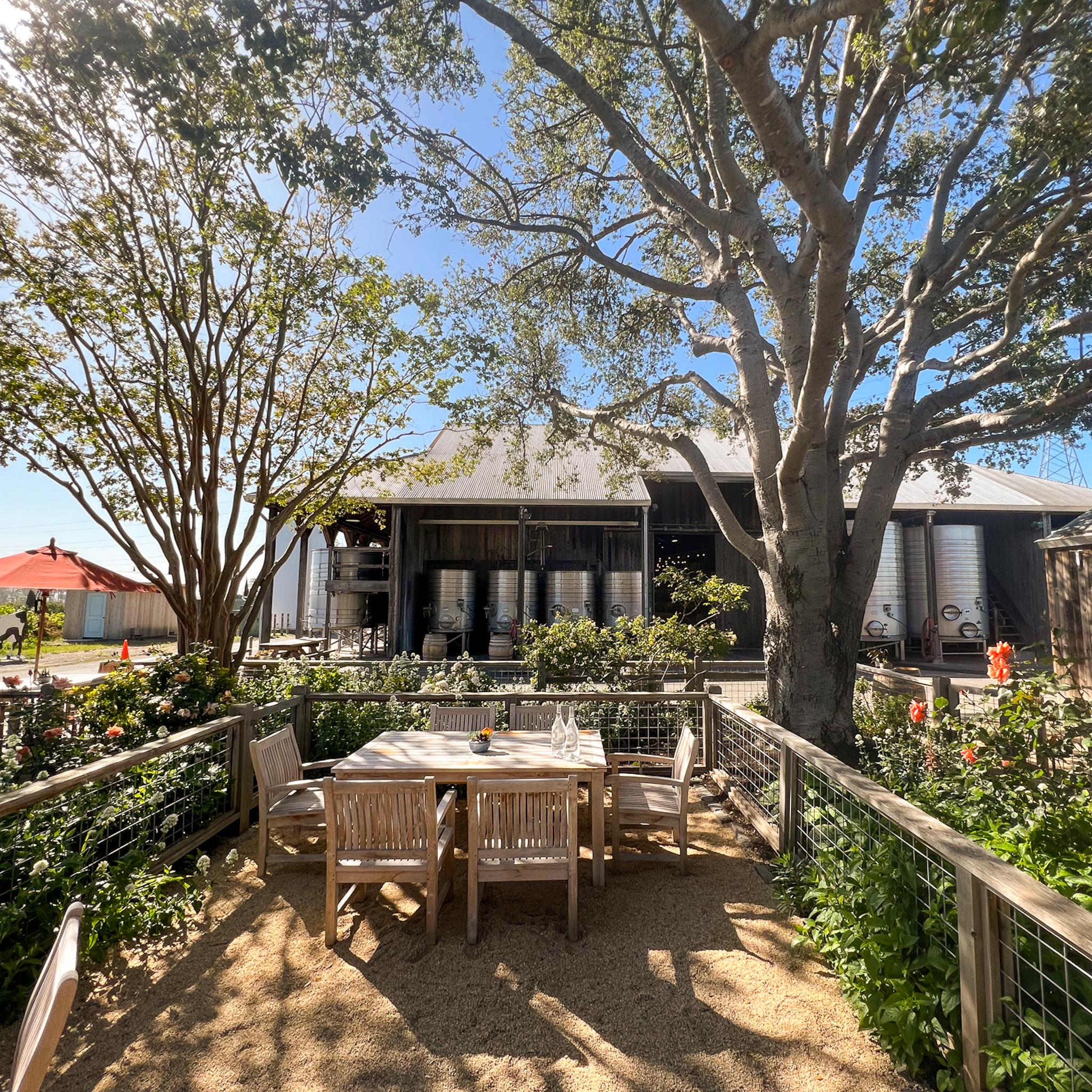 Garden Tasting at Saintsbury Winery in Napa Carneros